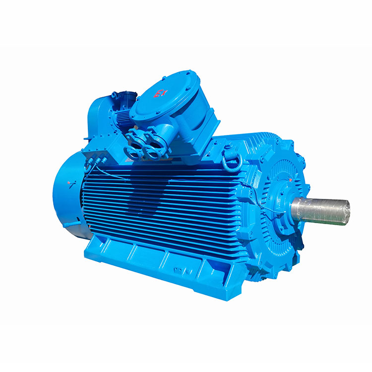 YBBP Series Flameproof Frequency Converter 3-Phase Induction Motors