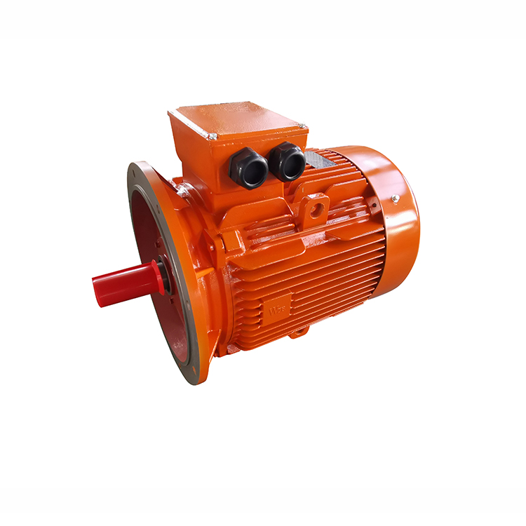 YE3 Series 3-Phase Induction Motors